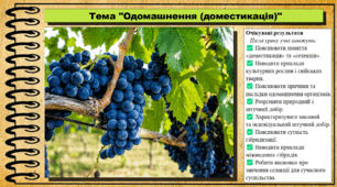 Одомашнення (доместикація). Біологія. 9 клас. НУШ (2026). До підручника Тагліна О., Самойлов А. та ін.