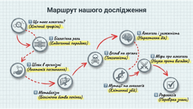 09024j18-79f3-392x221.png
