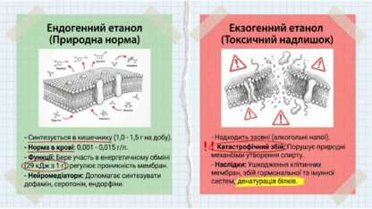 09024j1v-ecd4-416x234.png
