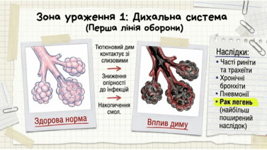 09024j5d-3b30-377x212.png