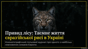 11 червня - Міжнародний день рисі
