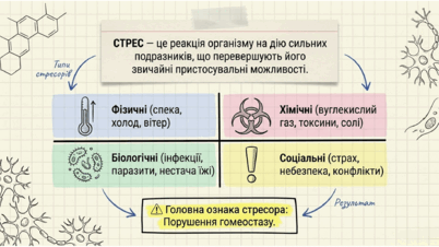 09024jjx-a807-402x226.png