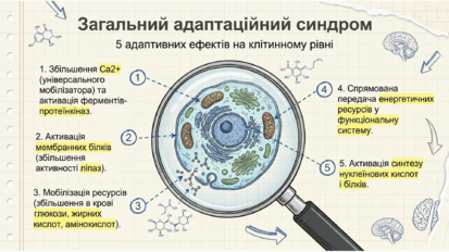 09024jjz-9d5d-413x232.png