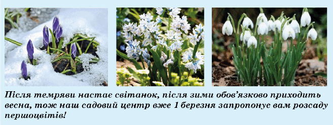 09024ka2-f909-657x248.png