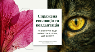 Презентація "Поняття про спряжену еволюцію та коадаптацію" 11 клас