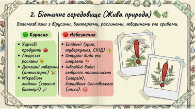 09024kmo-7f7f-402x226.png