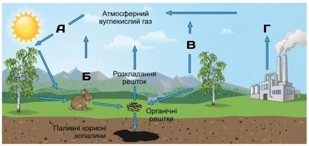 Малюнок до завдання 22