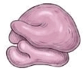 09024ksc-6a81-119x100.png
