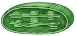 09024kse-fe16-157x74.png