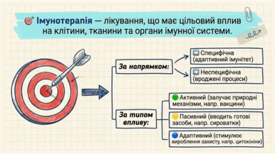 09024kxn-7179-386x217.png
