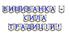 Яскрава тематична розтяжка «Вишиванка — сила традицій!»