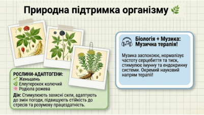 09024m60-9324-401x226.png