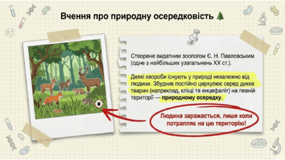 09024m6u-22bf-413x232.png