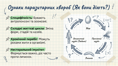 09024mc9-9e5f-413x232.png