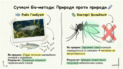 09024mcl-fe18-418x235.png