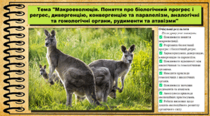 Макроеволюція. Поняття про біологічний прогрес і регрес, дивергенцію, конвергенцію та паралелізм, аналогічні та гомологічні органи, рудименти та атавізми. Біологія. 9 клас. НУШ (2026). До підручника Тагліна О., Самойлов А. та ін.