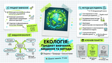 09024nf3-2314-388x219.png