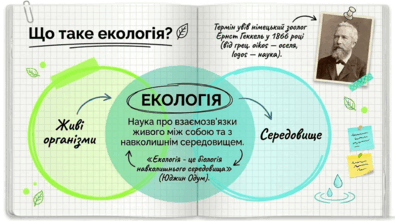 09024nf7-2203-395x222.png