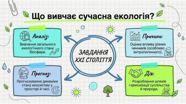 09024nf9-c61d-384x216.png