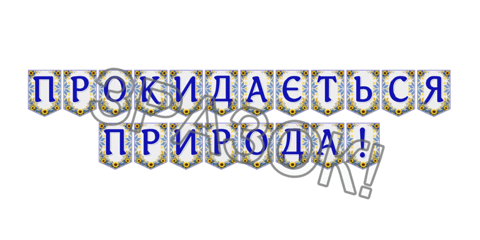 09024o2i-4493-940x470.png