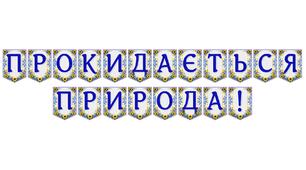Яскрава тематична розтяжка «Прокидається природа!» для оформлення навчального простору
