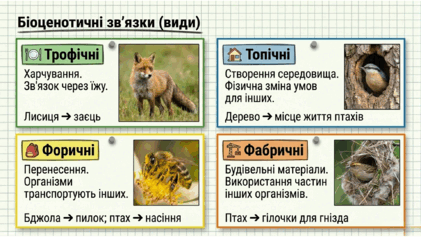 09024ohw-88ed-421x237.png