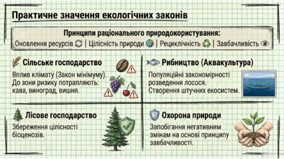 09024oi0-5cc6-409x230.png
