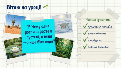 09024oip-4acc-392x221.png