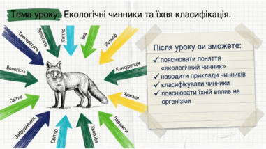 09024oiv-242e-381x214.png