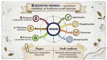 09024oix-6a68-416x234.png