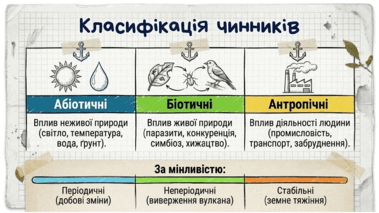 09024oj1-fdf8-379x213.png
