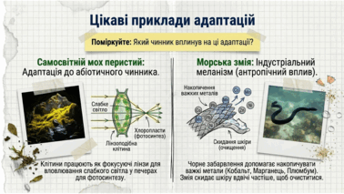 09024oj4-54cb-378x213.png