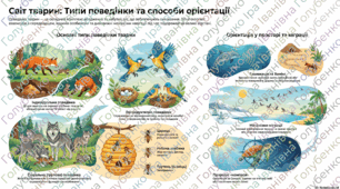 § 39. Які є способи комунікації тварин. Міграції
