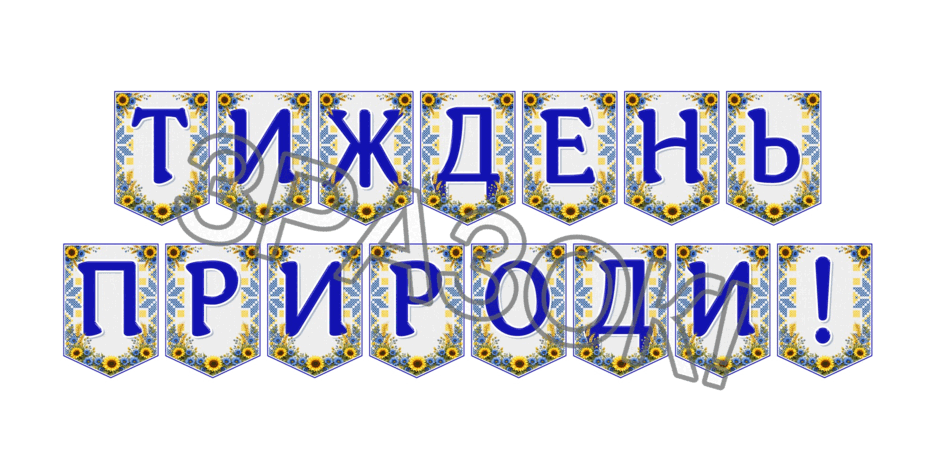 09024p2s-8782-940x470.png