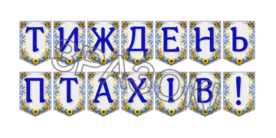 09024p31-8a48-940x470.png