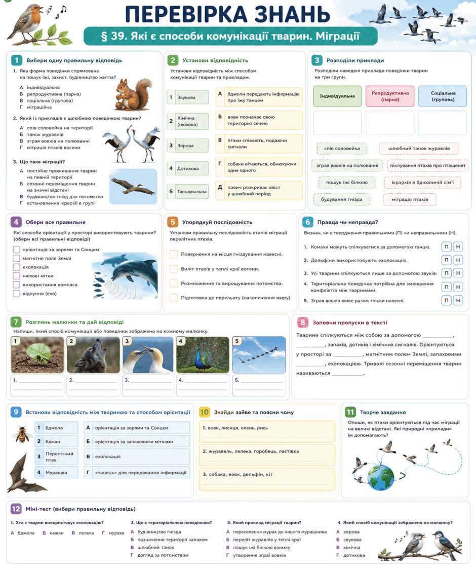 09024pi1-3f9e-940x1120.png