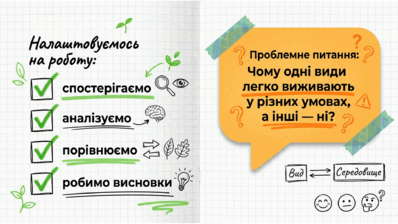 09024pi9-aeea-398x224.png