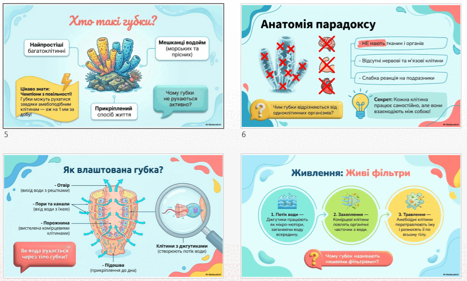 09024pib-7ea6-912x549.png