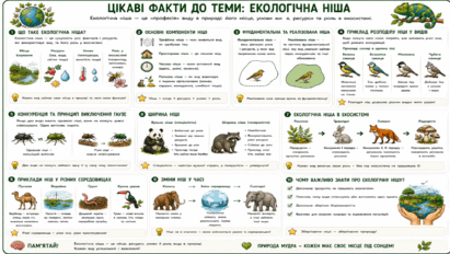 09024piu-7d28-411x232.png