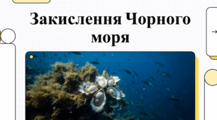8 червня. Всесвітній день океанів