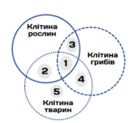 09024qea-6696-191x179.png