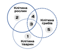 09024qet-e77d-214x176.png