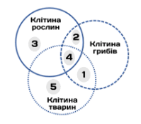09024qfa-6295-199x174.png
