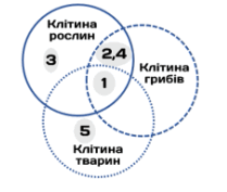 09024qfr-0f57-209x177.png
