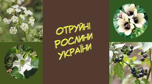 Отруйні рослини України