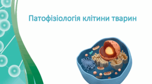 Патофізіологія клітини тварин