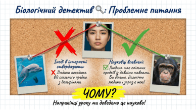 09024tc5-ee1f-388x218.png