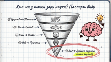 09024tce-20c1-385x217.png