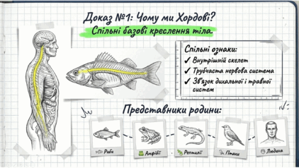 09024tcp-76f2-422x238.png
