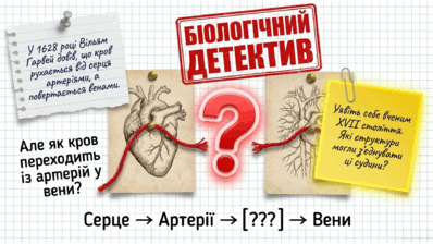09024tei-9c07-398x224.png